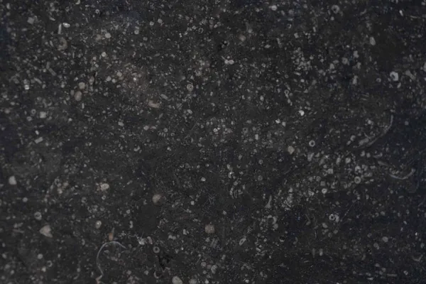 Échantillon de quartz pour cuisine